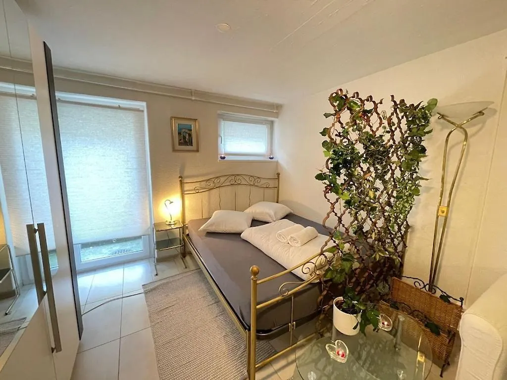 Comfy Bed Fast Wifi 3 Min To Rhein Apartment Basel