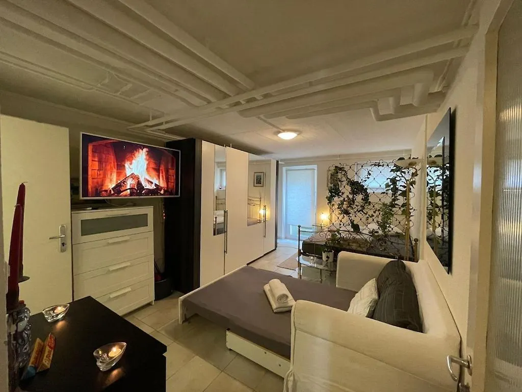 Comfy Bed Fast Wifi 3 Min To Rhein Apartment Basel Switzerland